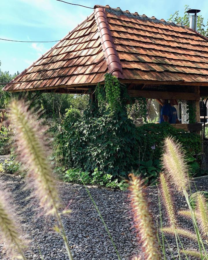 Villa Lukash Makkosjánosi Kültér fotó